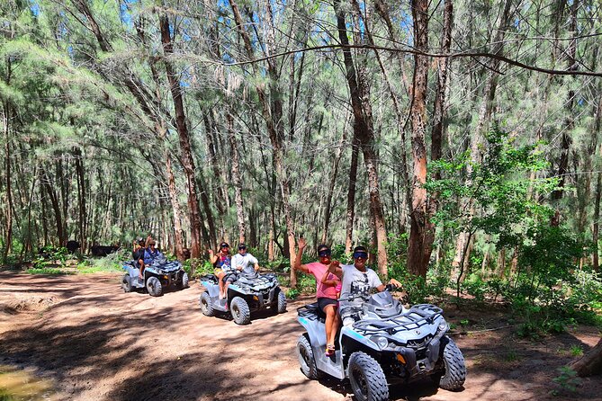 Tour in 4x4 ATVs inside the Dunes of Chachalacas, Veracruz - The Casuarina forest adds a surprising change