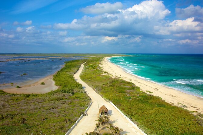 Tours along the beaches of Cozumel Mexico by buggy all inclusive - Why a private buggy is a smart way to see Cozumel