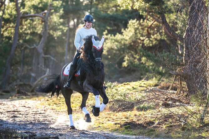 Tulum Jungle Horseback Ride + ATV + Ziplines + Cenote Combo Tour - A five-hour jungle sampler with a lot packed in