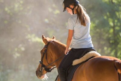 Tulum Jungle Horseback Ride + ATV + Ziplines + Cenote Combo Tour