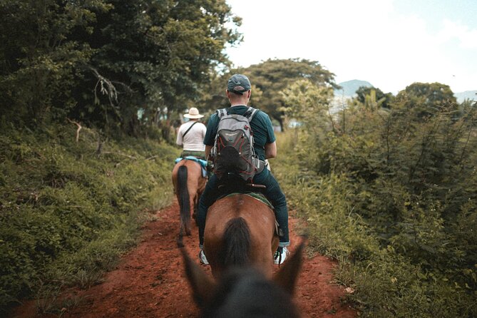 Tulum Jungle Horseback Ride + ATV + Ziplines + Cenote Combo Tour - Wall rappelling and the Maya ceremony