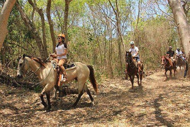 Tulum Jungle Horseback Ride + ATV + Ziplines + Cenote Combo Tour - The cenote swim is the payoff