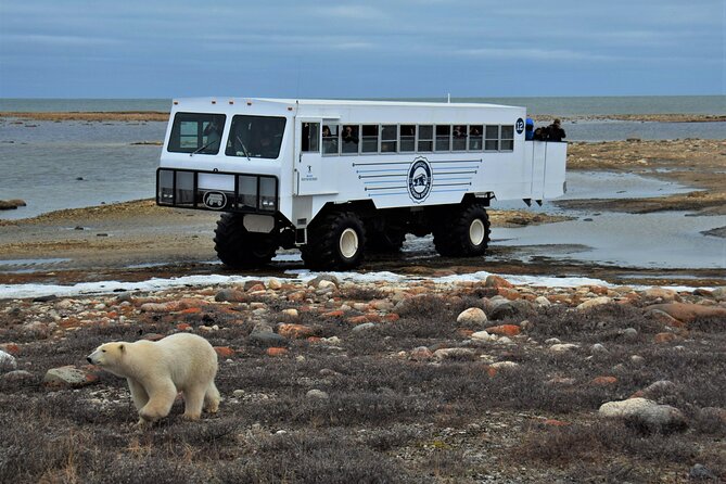 Tundra Buggy Autumn Day Tours - Leaving Churchill for the Churchill Wildlife Management Area