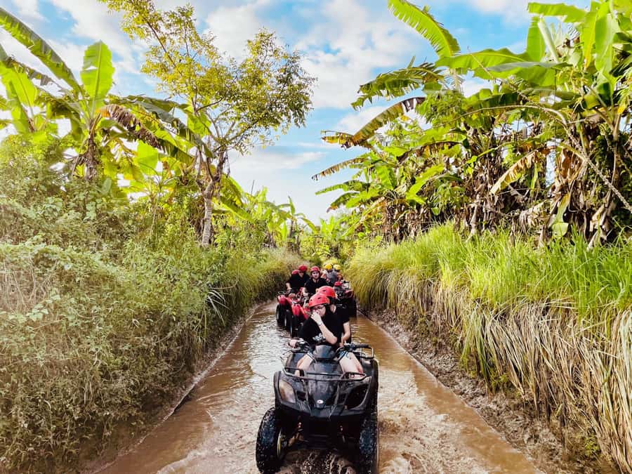 Ubud: Gorilla Face Quad Bike, Jungle Swing, Waterfall & Meal - Satria Agrowisata, swings, coffee, and herbal tea