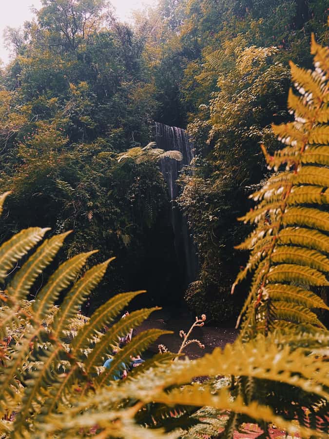 Ubud: Gorilla Face Quad Bike, Jungle Swing, Waterfall & Meal - Pickup, driving time, and the separate meeting points