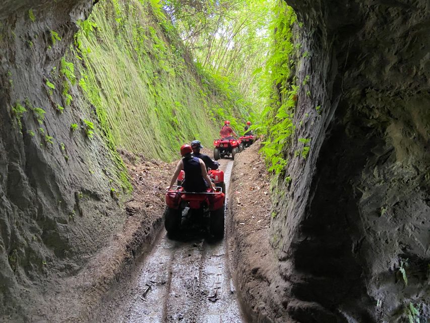 Ubud: Gorilla Face Quad Bike, Jungle Swing, Waterfall & Meal - How the $46 price compares with the effort involved