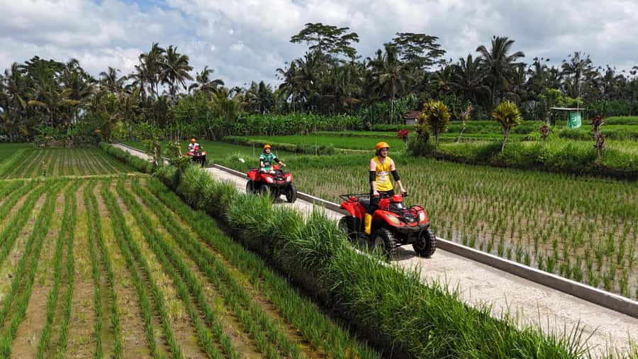 Ubud: Guided ATV Quad Bike Jungle Adventure with Lunch - Should you book the Gorilla ATV Adventure?