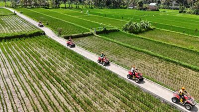 Ubud: Guided ATV Quad Bike Jungle Adventure with Lunch