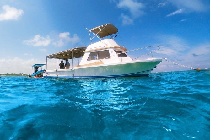 Ultimate 5x1 Combo with ATV, Ziplines, Cenote & Reef Snorkeling - A full day built around variety