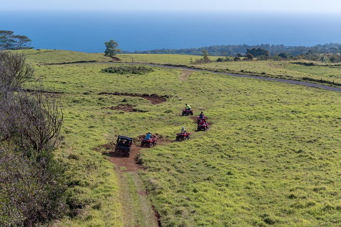 Umauma Falls Deluxe ATV Waterfall and Swim Experience - A short ATV outing with a proper finish