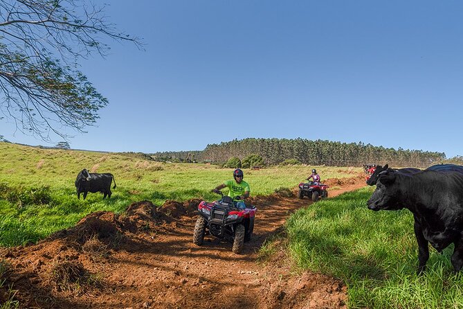 Umauma Falls Deluxe ATV Waterfall and Swim Experience - Getting comfortable on the Honda ATV or UTV