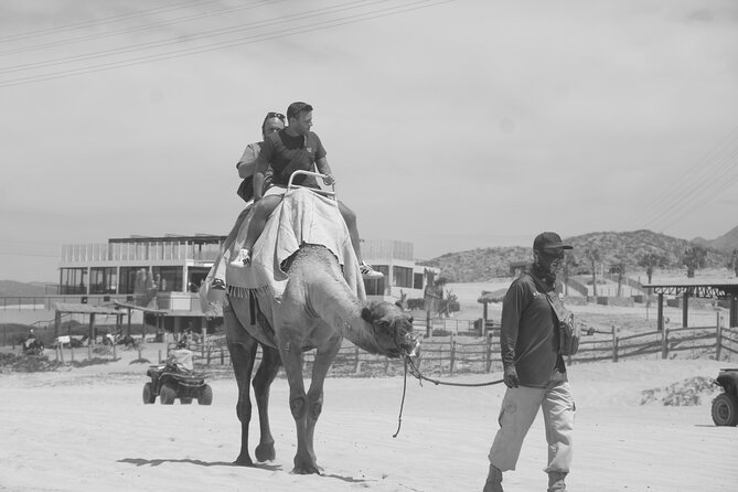 Unique experience on Sky Bike, Atv and Camels from Cabo San Lucas - What the camel wording really means