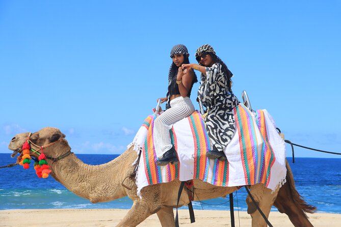 UTV Adventure with Free Camel Ride and Sky Bikes - The real price: $175 plus a careful budget