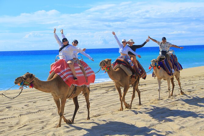 UTV Adventure with Free Camel Ride and Sky Bikes - Booking advice and final verdict