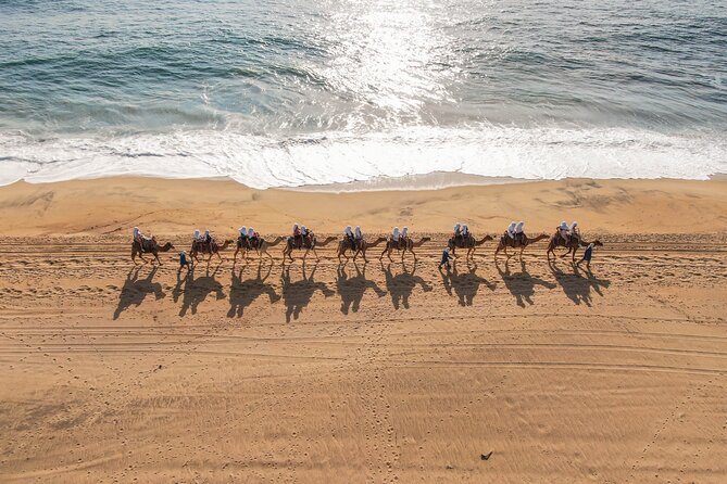 UTV and Camel Ride in the Cabo Desert - Timing, weather, and cancellation risk