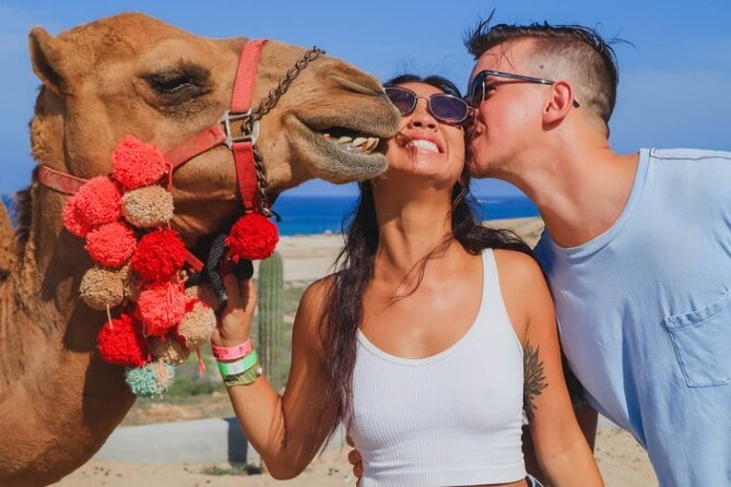 UTV and Camel Ride in the Cabo Desert - A practical checklist before you go
