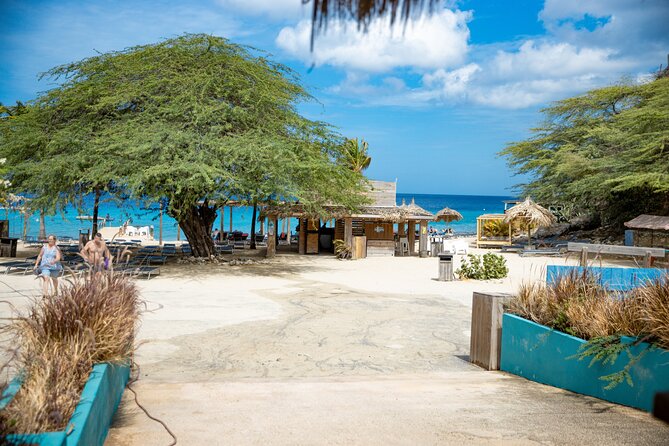UTV Buggy and Snorkeling Tour in Willemstad Curacao - Who should book this ride