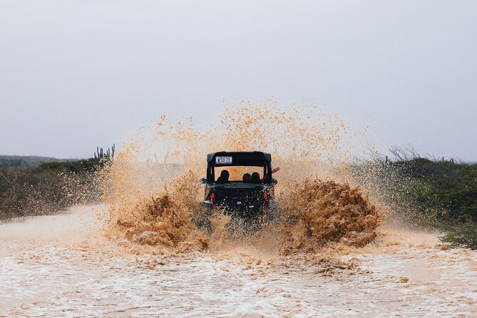 UTV Buggy Expedition in West Coast - Daaibooi Beach gives the tour a proper finish