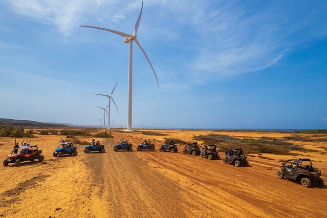 UTV Buggy Expedition in West Coast - What the $229 price really gets you