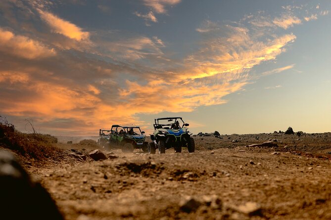 UTV Morning Tour: Discover Aruba's Hidden Treasures - What the $220 price really covers