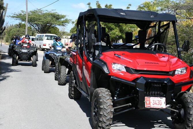 UTV Off Road Tour and Cave Pool Swimming - Families, cruise passengers, and first-time riders