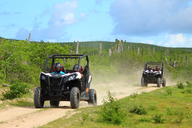 Viper Trail UTV Small-Group Experience in Cabo San Lucas - Key points to know before booking
