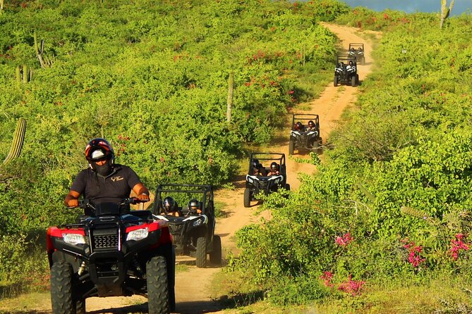 Viper Trail UTV Small-Group Experience in Cabo San Lucas - Scenic stops, the mini arch, and the Pacific side