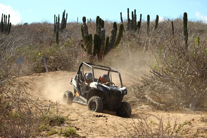 Viper Trail UTV Small-Group Experience in Cabo San Lucas - Quesadillas, water, and the three-hour timing