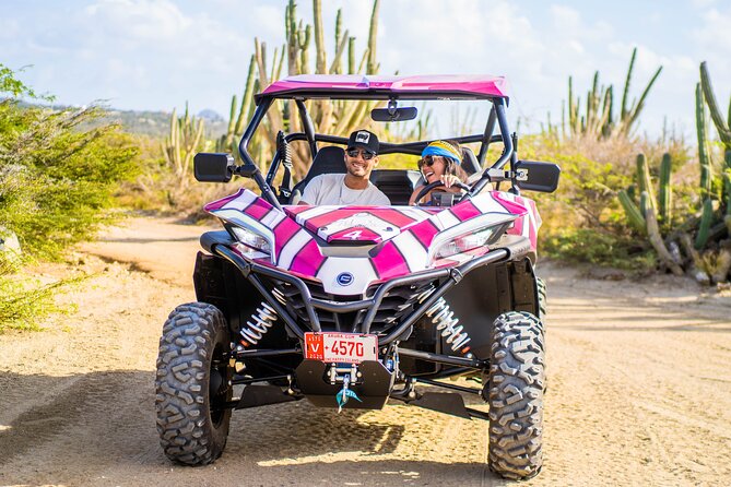 Wild Side UTV Tour: Explore the Northern treasure - Bushiribana Gold Mill Ruins and the island’s past