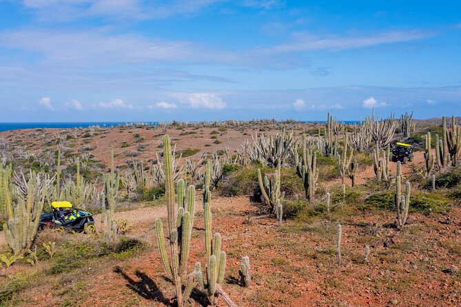 Wild Side UTV Tour: Explore the Northern treasure - Tres Trapi for a cool-down swim