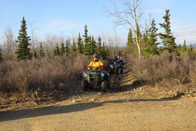 Wilds of Alaska Classic ATV Adventure - Wildlife watching without guarantees