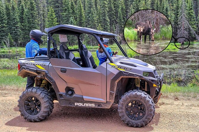 Woodland Park: 4-Hour Self-Guided Mountain UTV Tour - You Drive - Choosing between the Polaris UTVs