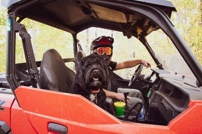 Woodland Park: 4-Hour Self-Guided Mountain UTV Tour - You Drive - Comfort, safety, and the self-guided format