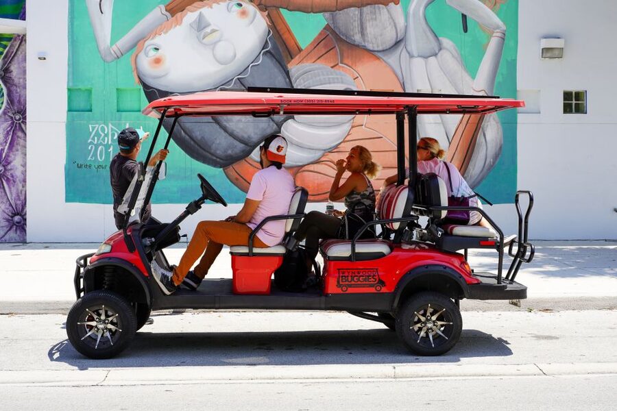 Wynwood Art District 1-Hour Wynwood Buggies Street Art Tour - What the artist guides add