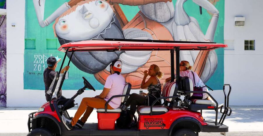 Wynwood Art District 1-Hour Wynwood Buggies Street Art Tour - Wynwood’s past and its art culture