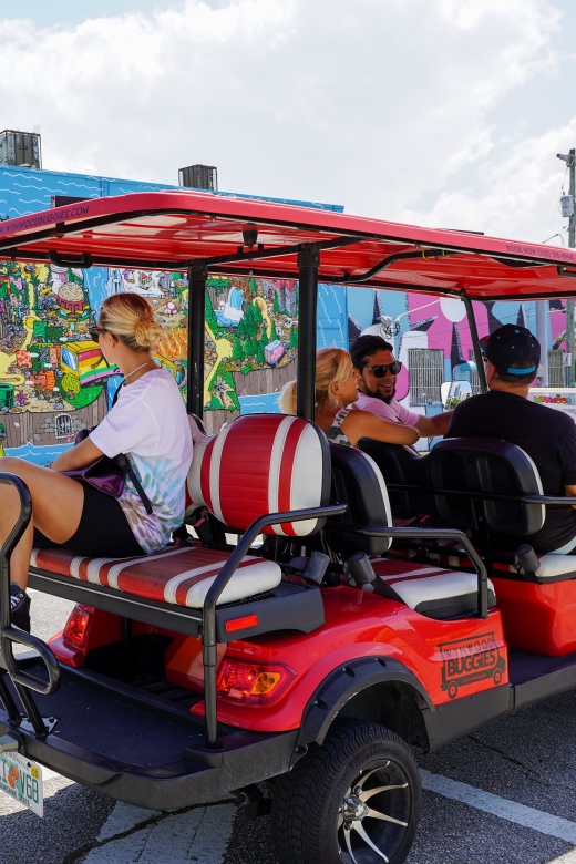 Wynwood Art District 1-Hour Wynwood Buggies Street Art Tour - Ending at Wynwood Walls