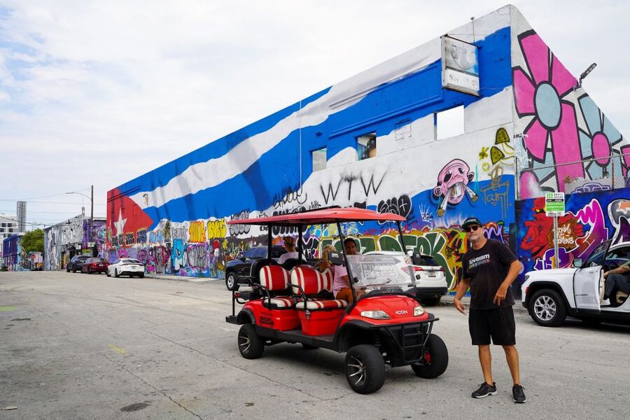 Wynwood Art District 1-Hour Wynwood Buggies Street Art Tour - Is $45 a fair price for one hour?
