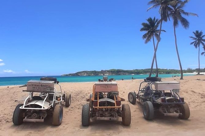 Xtreme Buggy 4 hours Dune Buggy & Country side experience - Key points to know before booking